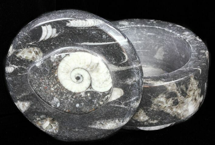 Small Fossil Goniatite Jar (Black) - Stoneware #60088